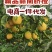 赣南脐橙电商一件代发
