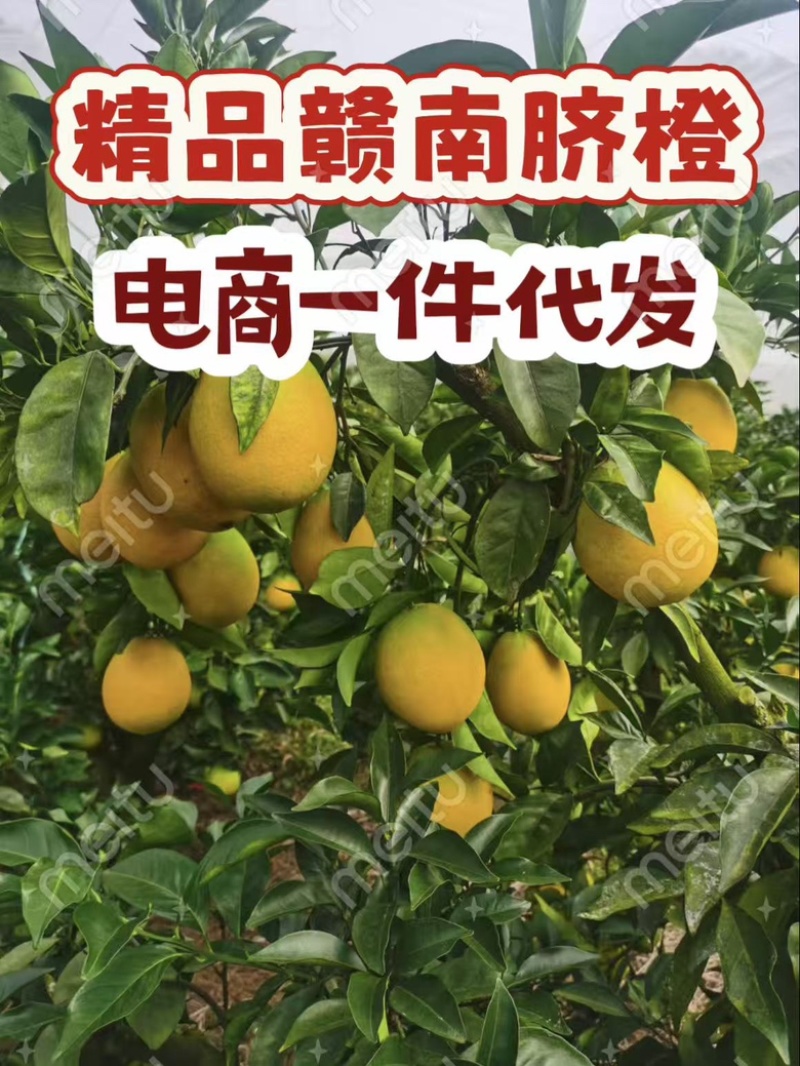 赣南脐橙电商一件代发