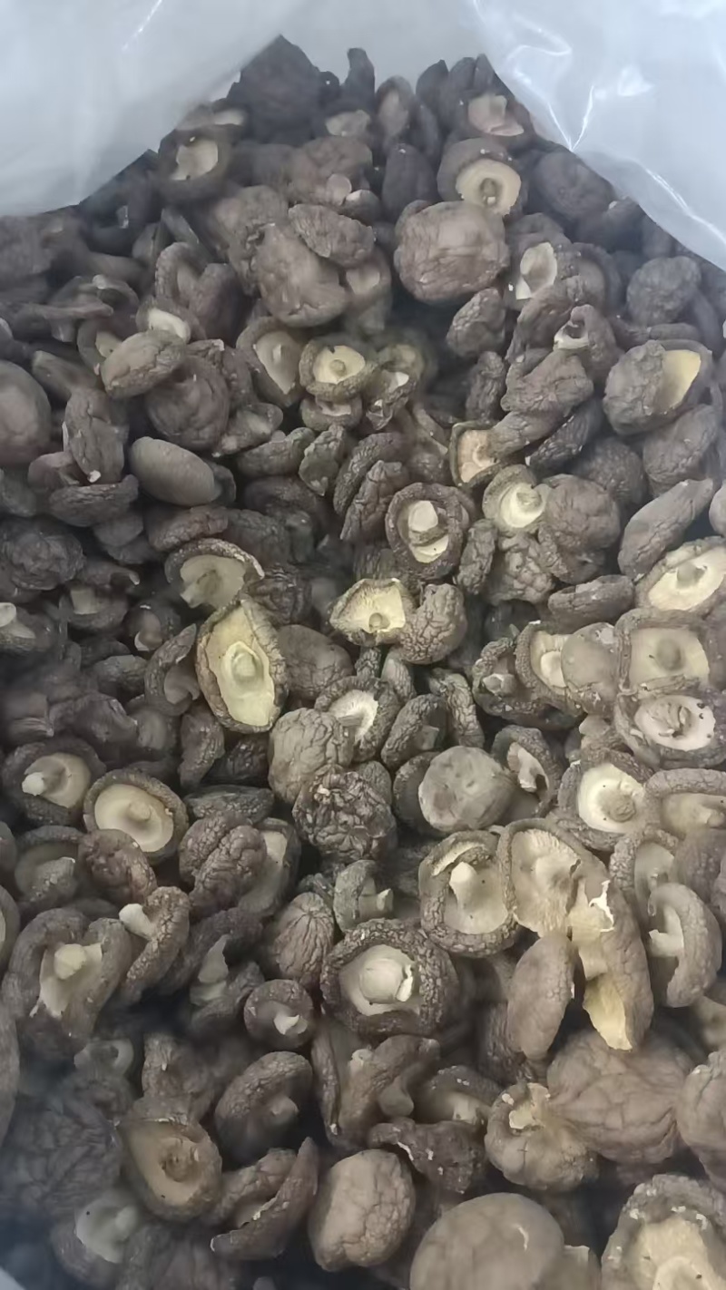 香菇干品