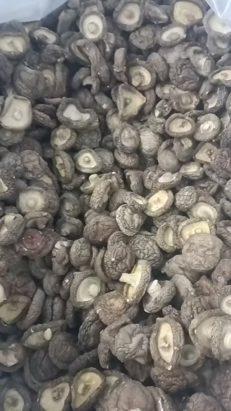 香菇干品