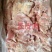 牛云皮肉