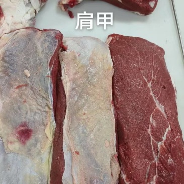 牛板腱