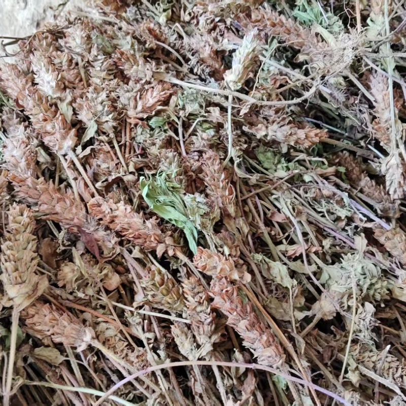 夏枯球夏枯草中药材货真价实批发销售正品保证