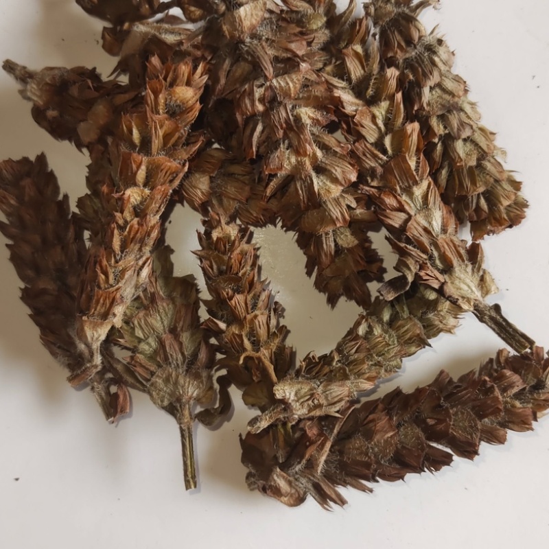 夏枯球夏枯草中药材货真价实批发销售正品保证
