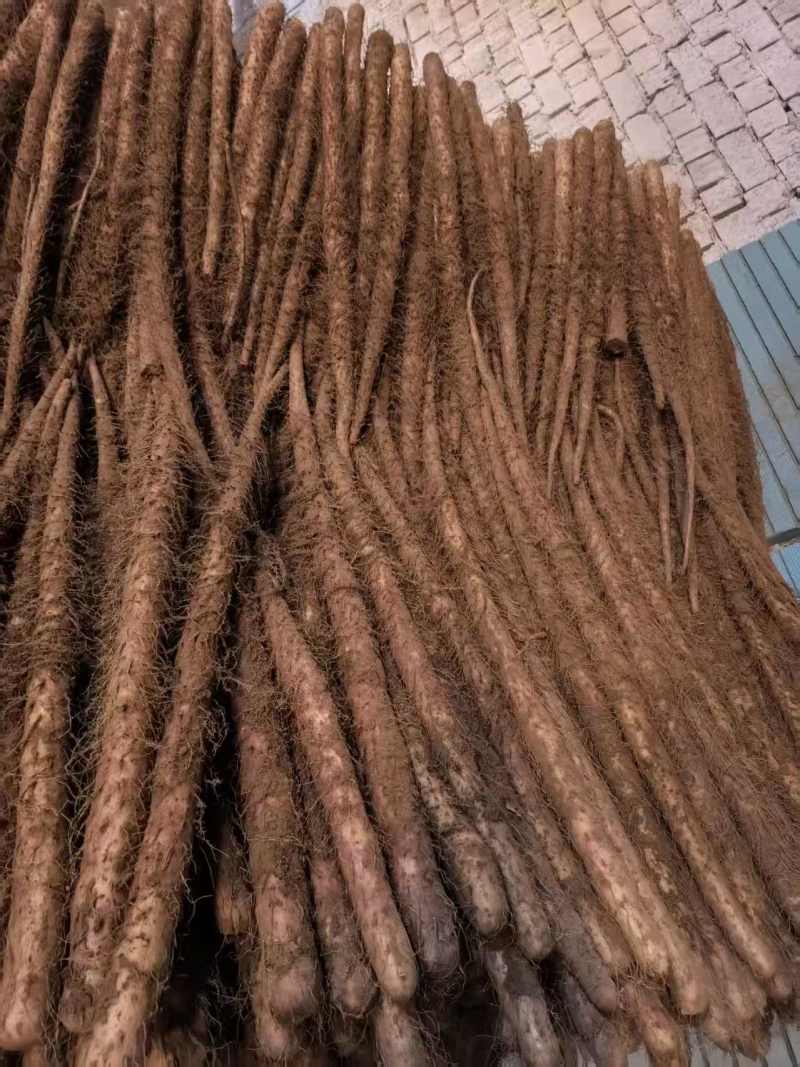 红皮铁棍
