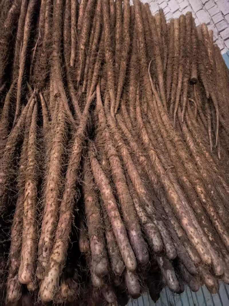 红皮铁棍