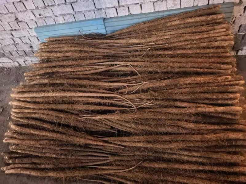 红皮铁棍