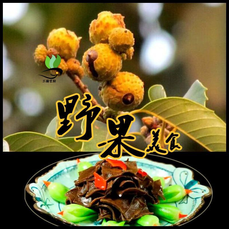 苦槠干品质好价格低诚信经营可对接各大电商商超等