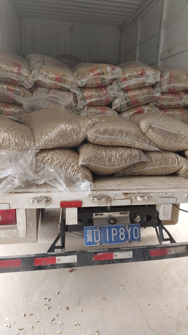 25年小日本小珍珠柴火炒原味熟花生