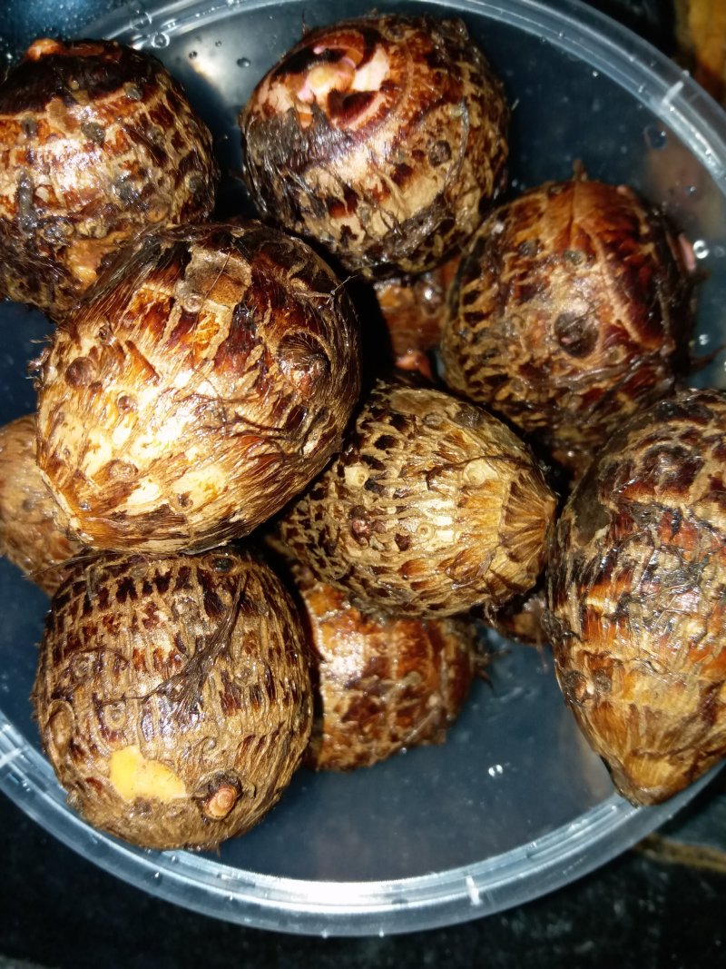 山东大芋头毛芋头