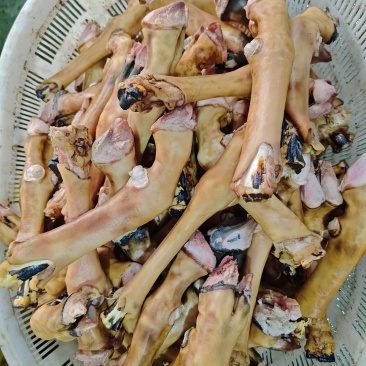 羊蹄，锡盟屠宰场全国直销！质量保证手续齐全！量大优惠！