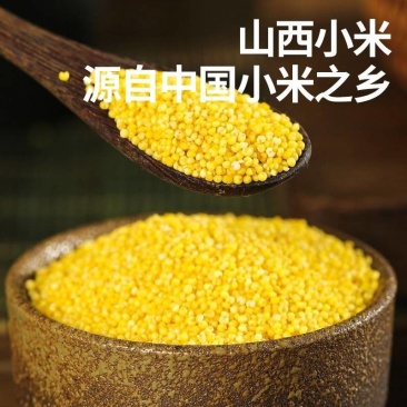 山西小米正宗小米批发零售一件代发分装定制