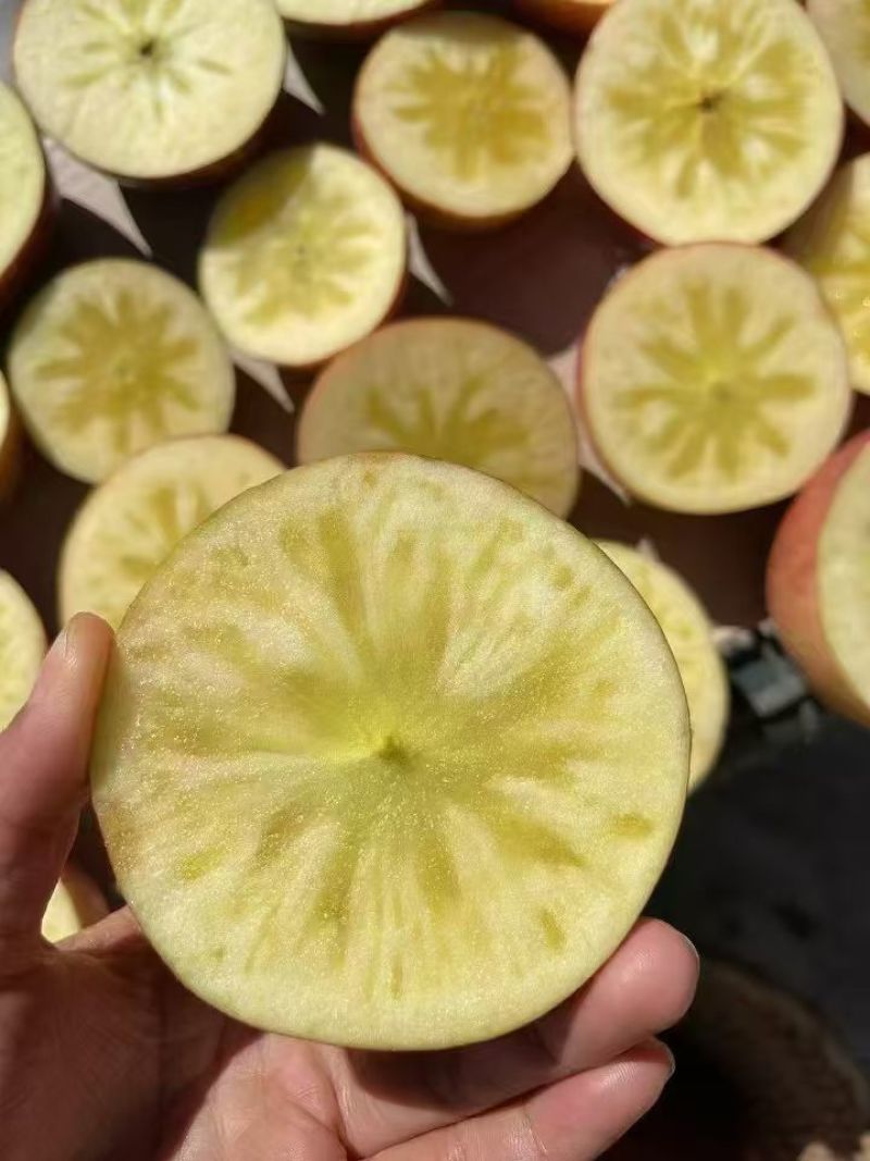 大凉山盐源苹果