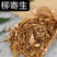 中药材柳树寄生柳寄生