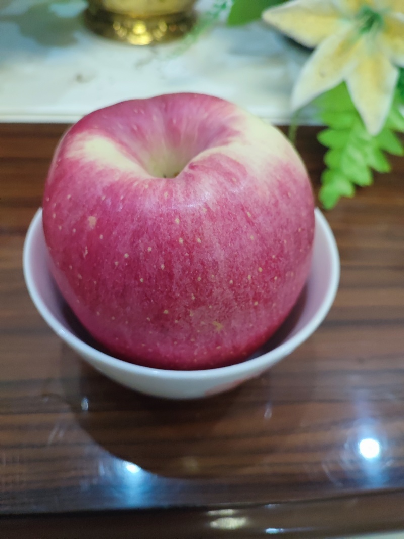 甘肃高原红富士
