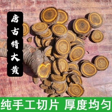 中药材唐古特大黄大黄1000克