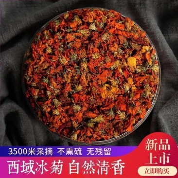 新疆冰菊西域冰菊