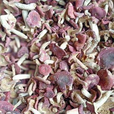 红菇野生正宗红菇干货大红菌子非福建云南红蘑菇红茹