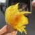大量榴莲蜜薯