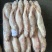 金线鱼KK真金线100/150/150/200