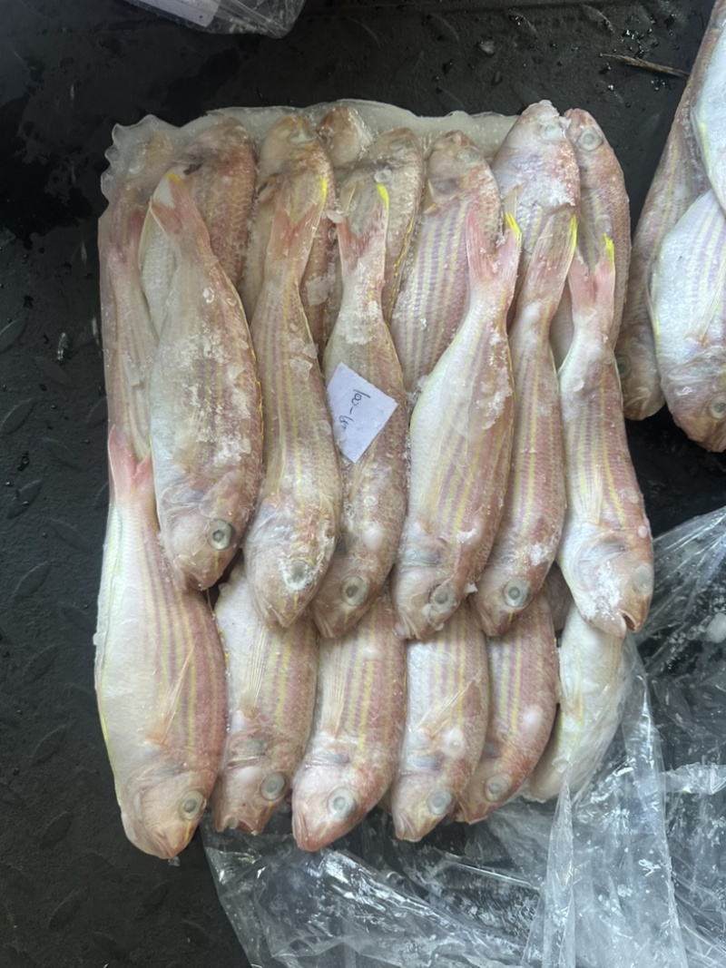 金线鱼KK真金线100/150/150/200