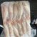 金线鱼KK真金线100/150/150/200