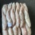 金线鱼KK真金线100/150/150/200