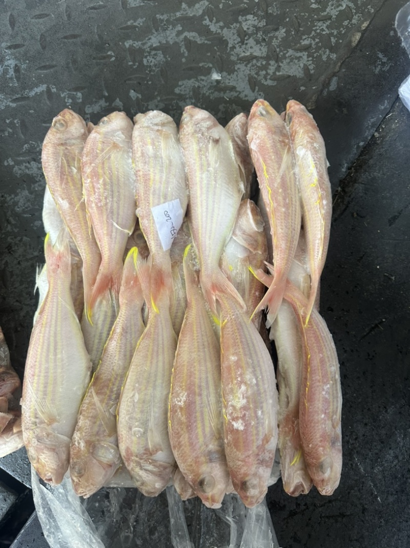 金线鱼KK真金线100/150/150/200