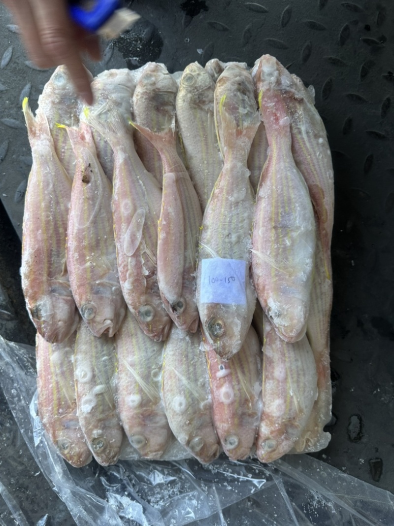 金线鱼KK真金线100/150/150/200