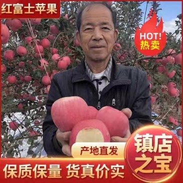 万亩苹果主产地山东红富士苹果产地价格苹果批发一手货
