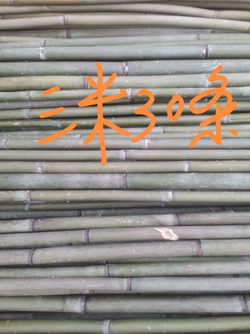 架条