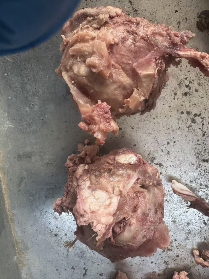 【熟食牛眼睛】精品公牛熟牛眼，质量有保障。