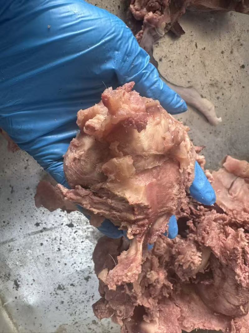 【熟食牛眼睛】精品公牛熟牛眼，质量有保障。