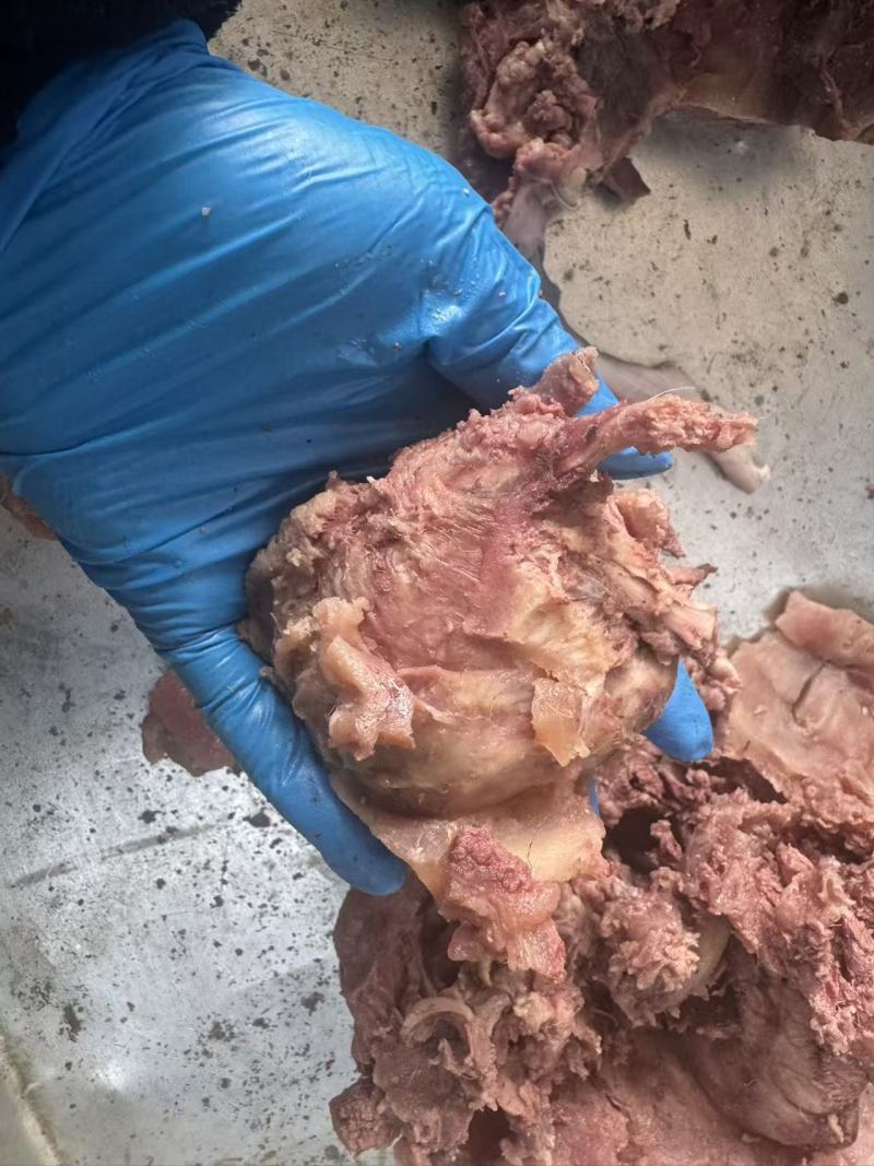 【熟食牛眼睛】精品公牛熟牛眼，质量有保障。