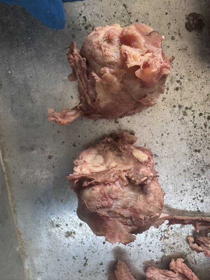 【熟食牛眼睛】精品公牛熟牛眼，质量有保障。