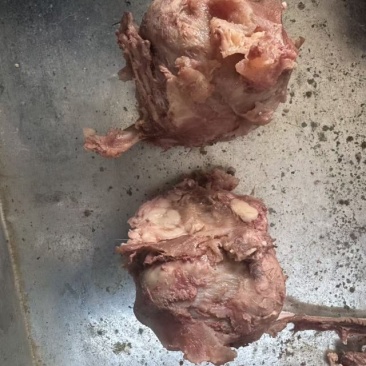【熟食牛眼睛】精品公牛熟牛眼，质量有保障。