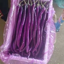 线茄