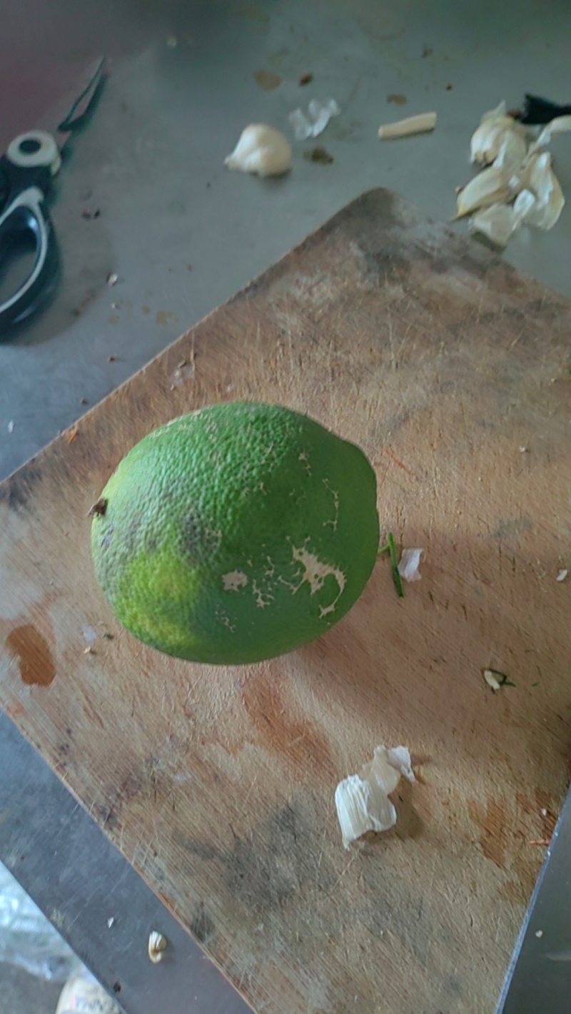 香橼果