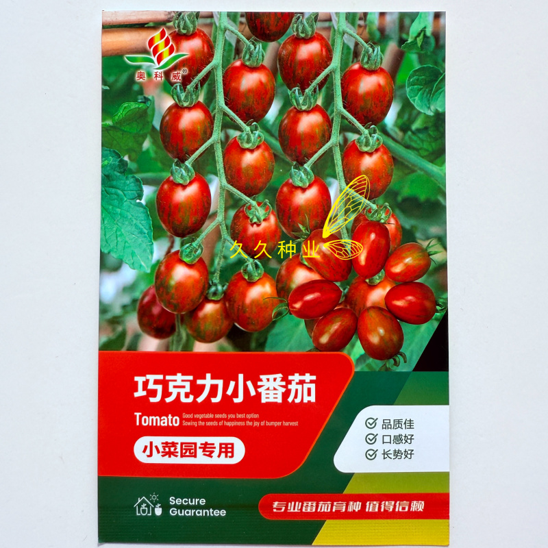 巧克力小番茄种子春秋黑色巧克力色樱桃小番茄柿子小西红柿