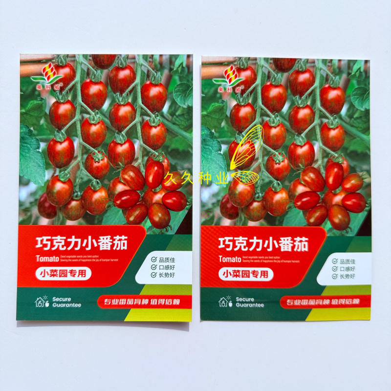 巧克力小番茄种子春秋黑色巧克力色樱桃小番茄柿子小西红柿