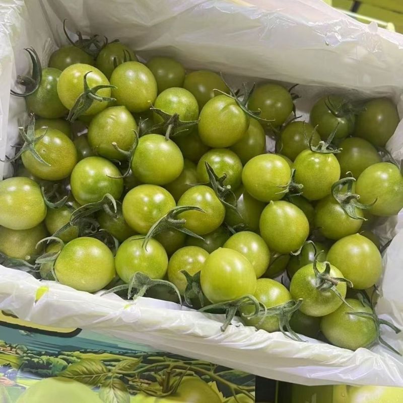 晴王小番茄种子樱桃小番茄水果圣女果种籽四季易种