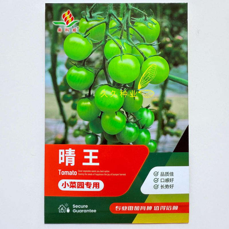 晴王小番茄种子樱桃小番茄水果圣女果种籽四季易种