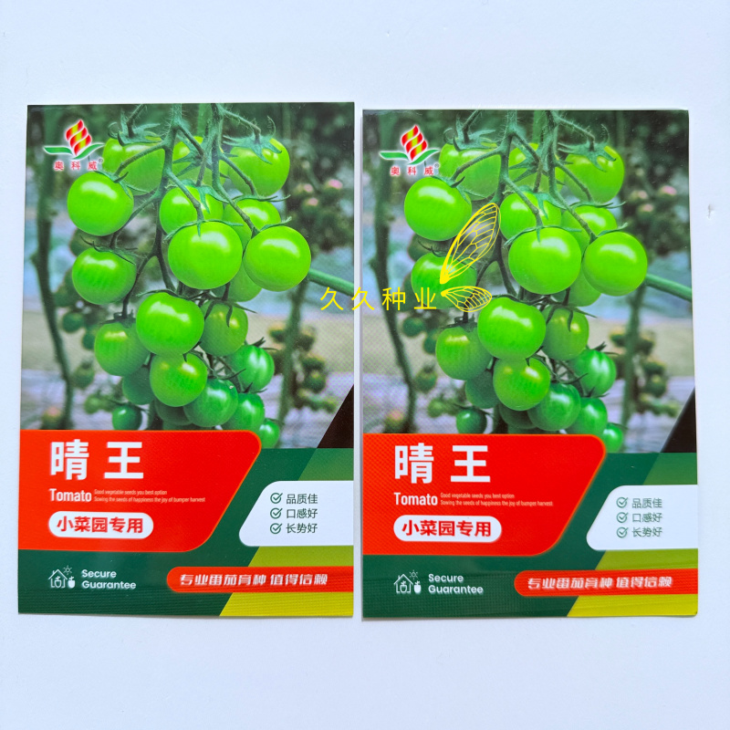 晴王小番茄种子樱桃小番茄水果圣女果种籽四季易种