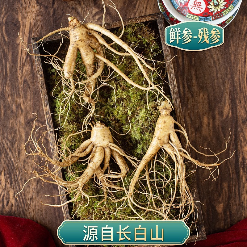 鲜人参残参吉林人参产地直发长白山鲜参现挖现售批发