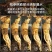 鲜人参残参吉林人参产地直发长白山鲜参现挖现售批发