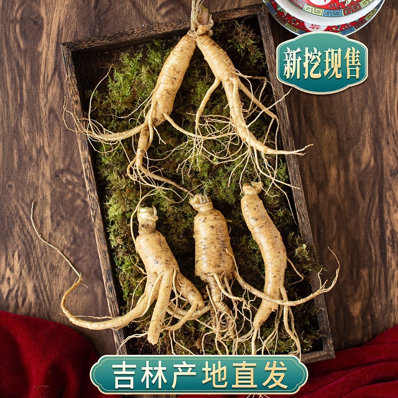鲜人参残参吉林人参产地直发长白山鲜参现挖现售批发