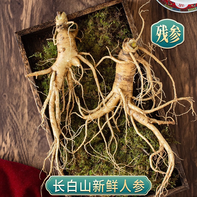 鲜人参残参吉林人参产地直发长白山鲜参现挖现售批发