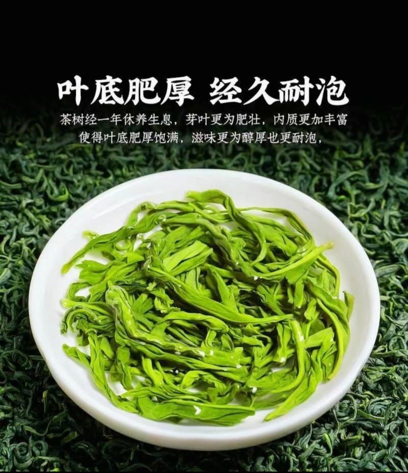 高山富硒绿茶