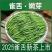 2025年雀舌新茶
