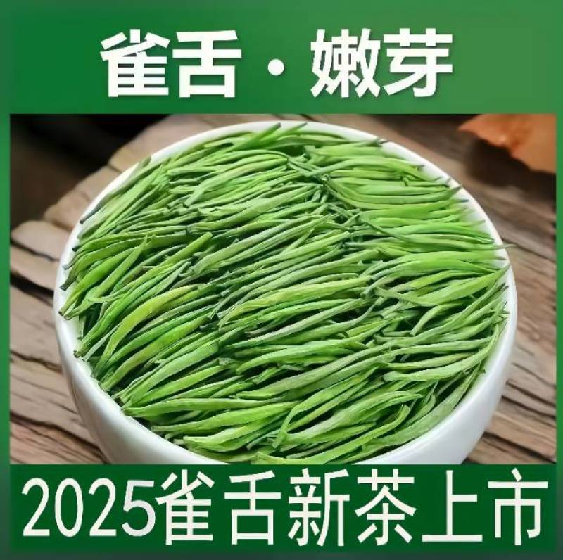 2025年雀舌新茶